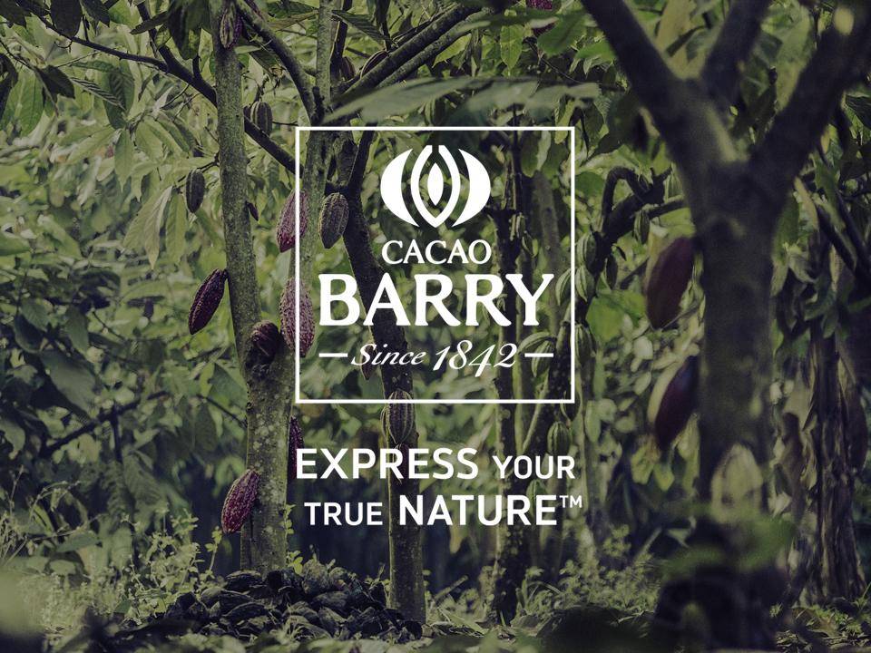 Специальные цены на Французские шоколадные кувертюры CACAOBARRY